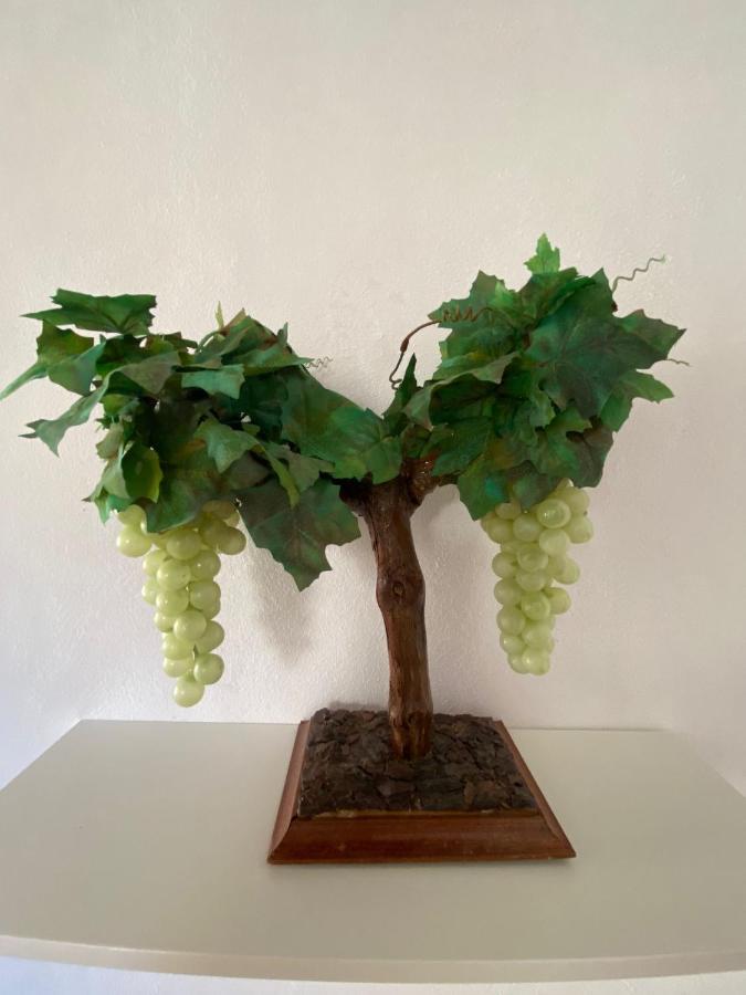 La Vendimia Apartamento Jerez de la Frontera